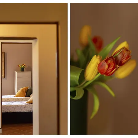 Lägenhet La Casa Di Bernard *