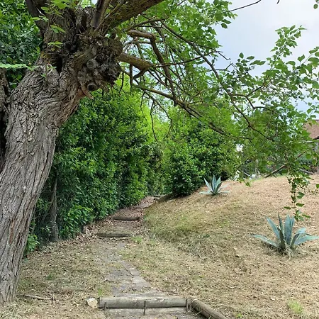 La Casa Di Bernard Poderi Foci